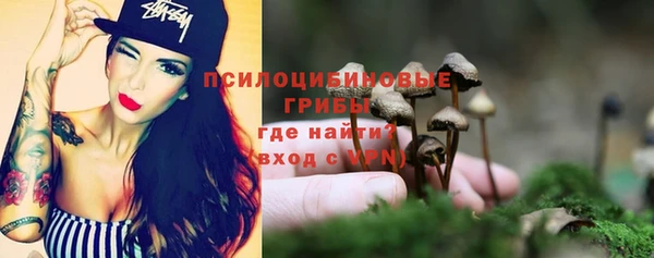 МДПВ Навашино