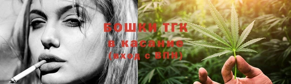 индика Аркадак