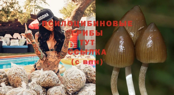 индика Аркадак