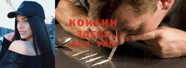 индика Аркадак