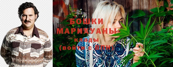 МДПВ Навашино