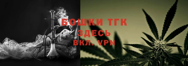 индика Аркадак
