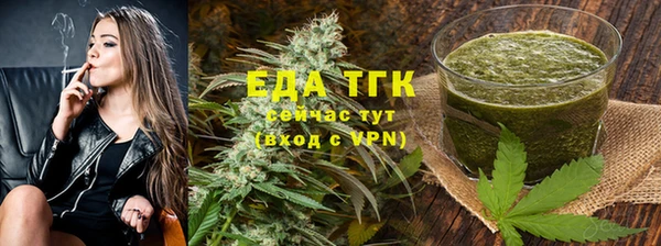 индика Аркадак