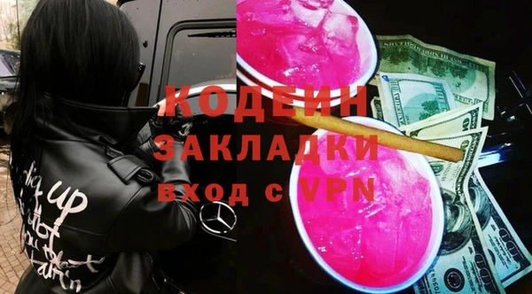 индика Аркадак