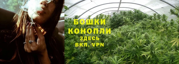 прущий лед Арсеньев