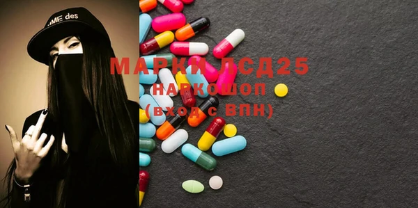индика Аркадак
