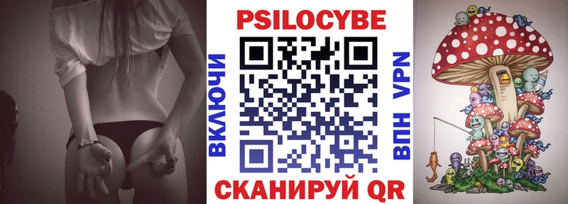 Галлюциногенные грибы Psilocybe  Медвежьегорск 